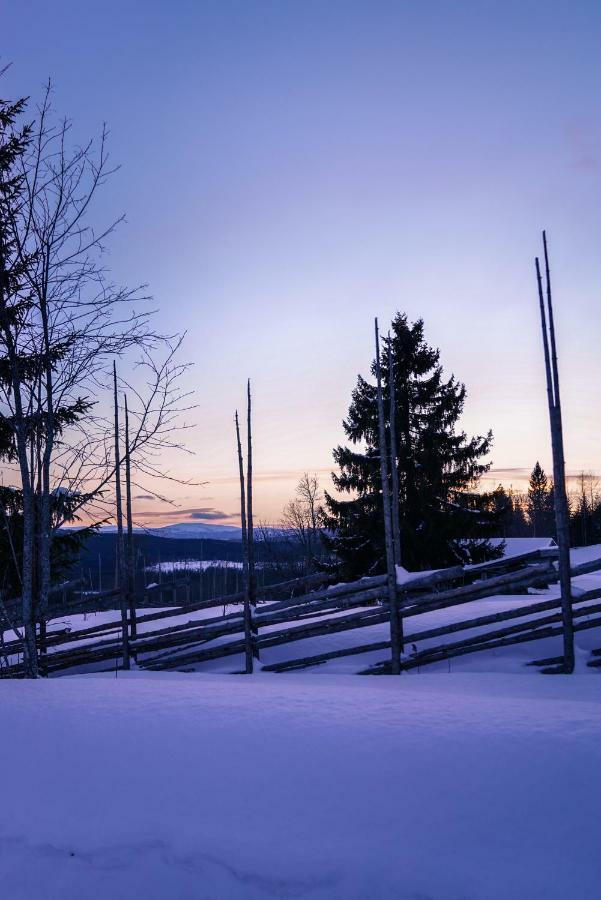 Asarna Skicenter 외부 사진